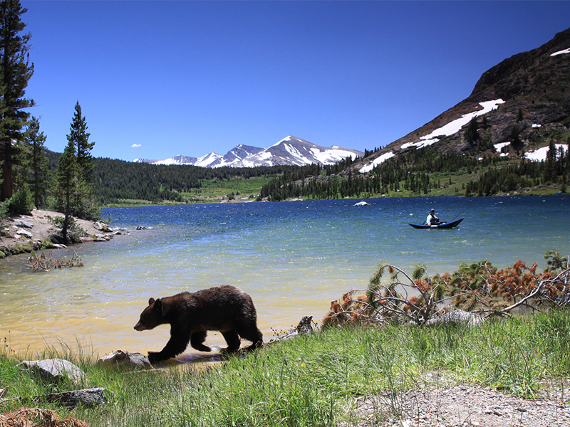 Best things to do in Yosemite, CA