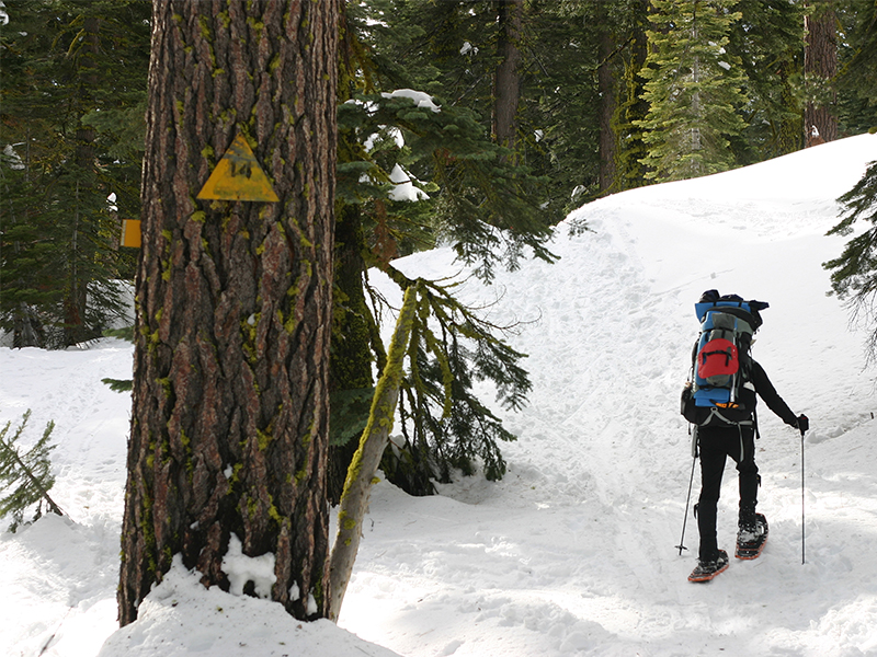 Best things to do in Yosemite, CA